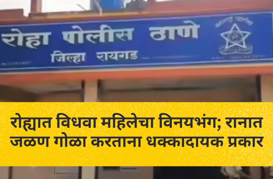 रोह्यात विधवा महिलेचा विनयभंग; रानात जळण गोळा करताना धक्कादायक प्रकार