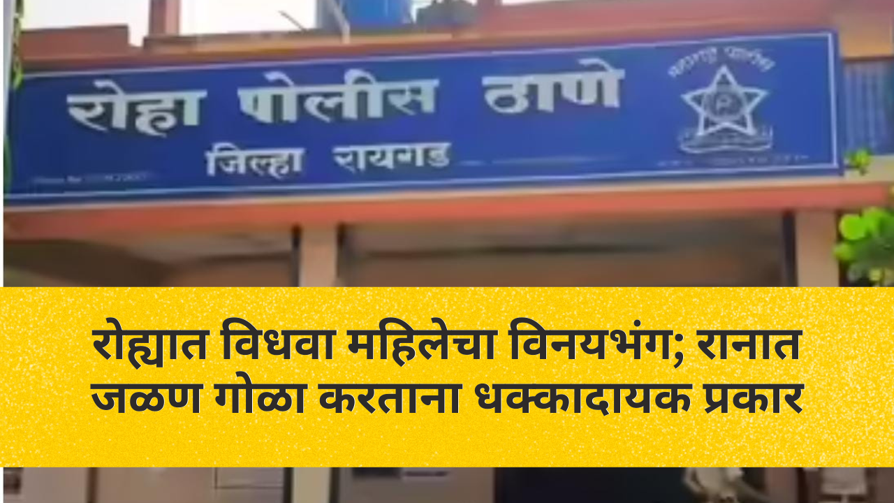 रोह्यात विधवा महिलेचा विनयभंग; रानात जळण गोळा करताना धक्कादायक प्रकार