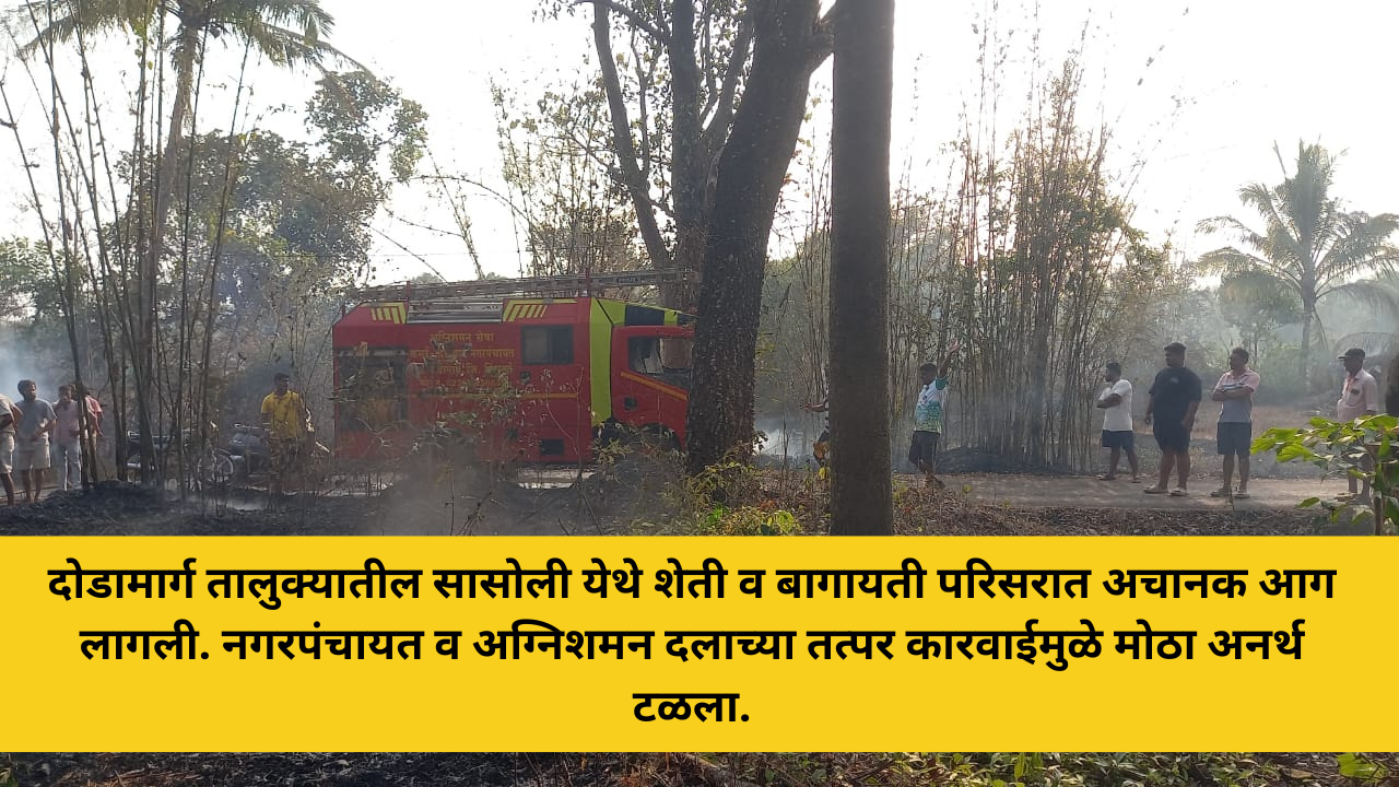दोडामार्ग तालुक्यातील सासोली येथे शेती व बागायती परिसरात अचानक आग लागली. नगरपंचायत व अग्निशमन दलाच्या तत्पर कारवाईमुळे मोठा अनर्थ टळला.