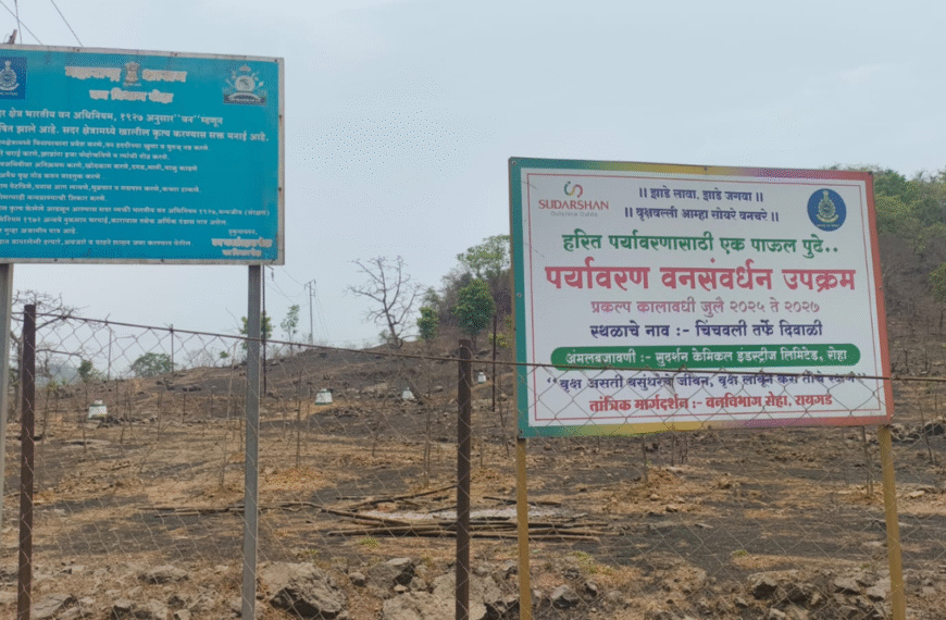 कोलाड येथे सुदर्शन कंपनीच्या झाडांना वनवा .दोष वनव्याचा की कंपनीचा.