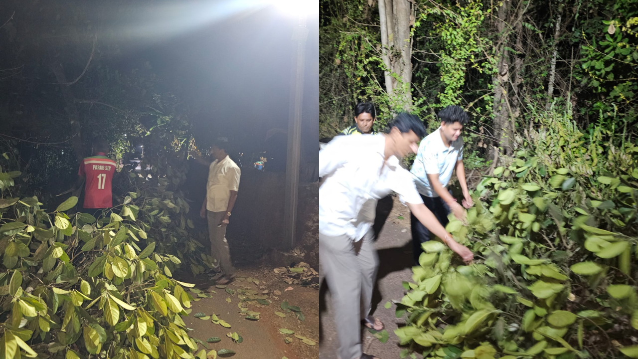 धाडसी पुढाकार ! माजी नगराध्यक्ष संतोष नानचे यांचे सरसावले पाऊल ; रस्त्यांवर कोसळलेले झाड हटवून वाहतूक सुरळीत